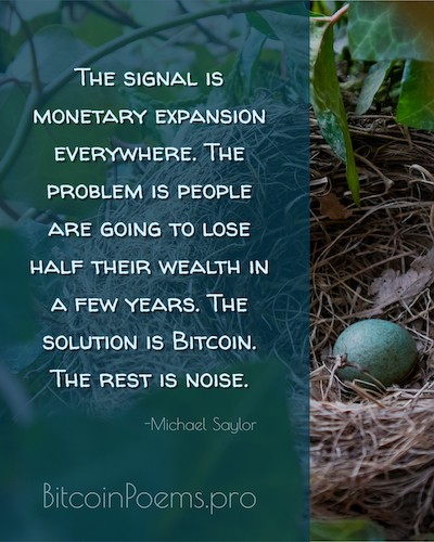 Bitcoin Quote from bitcoinpoems.pro - by Christopher Westra - Solution Bitcoin